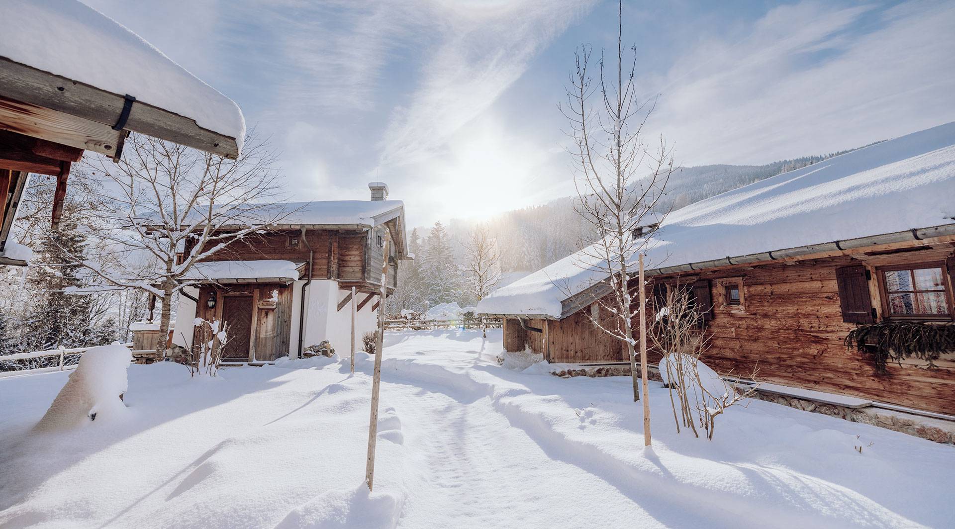Puradies Chalets - Skiurlaub mit Hund in Leogang Skiurlaub Hund Puradies Chalets Leogang